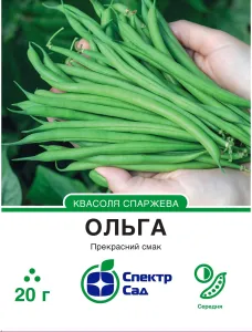Насіння квасолі спаржевої Ольга