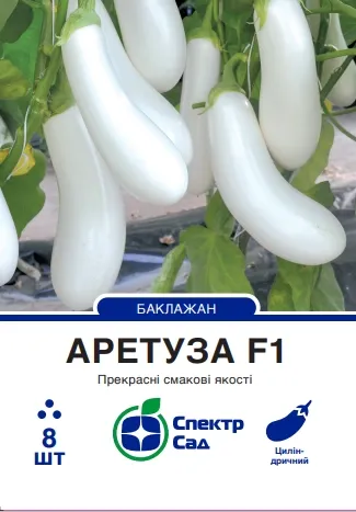 Насіння баклажану Аретуза F1