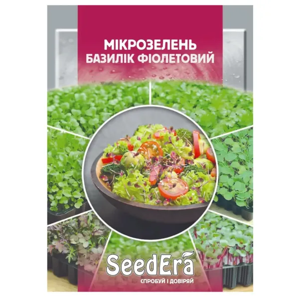 Насіння Мікрозелень Базилік фіолетовий