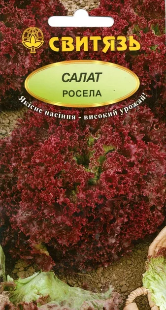 Насіння салат Росела