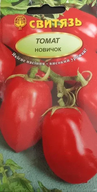 Насіння  томату  Новачок