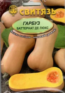 Семена тыквы Баттернат де люкс