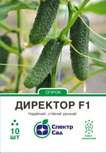 Насіння огірка Директор F1