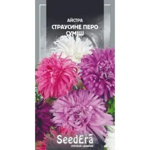 Насіння квітів Айстра Страусине перо суміш