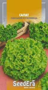 Насіння салату Одеський Кучерявець SeedEra