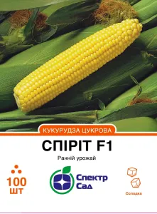 Насіння  кукурудзи Спіріт