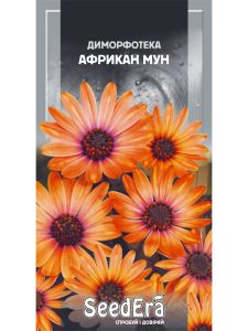 Насіння квітів Диморфотека Африкан Мун