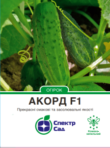 Насіння огірка Акорд F1