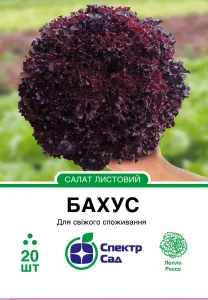 Семена салата Бахус