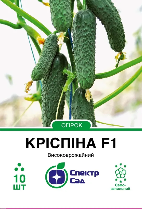 Насіння огірка Кріспіна F1