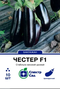 Семена баклажана Честер F1