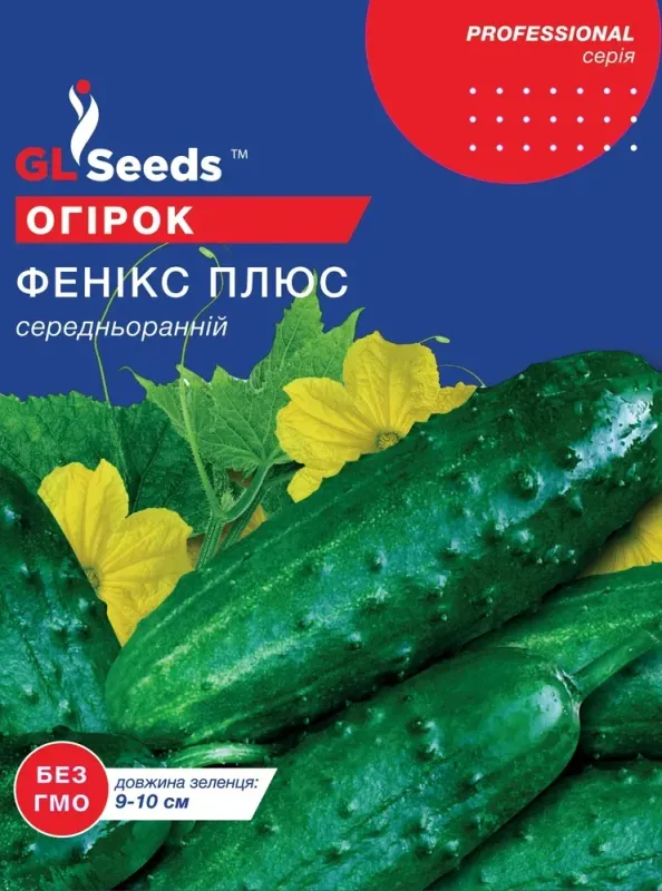 Насіння огірка Фенікс Плюс