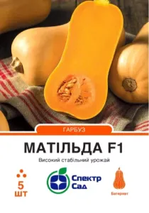 Семена тыквы Матильда F1