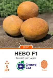 Семена дыни Нево F1